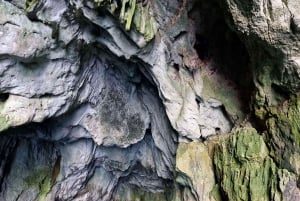 Siracusa: Ortigia +sea caves +fishing experience