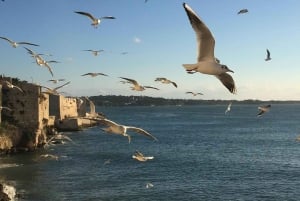 Siracusa: Ortygia Island Boat Tour med besøg i grotte