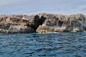 Siracusa: Piquenique num passeio de barco por Pillirina, Ortigia e grutas marinhas