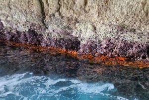 Syracuse: Picnic boat tour of Pillirina, Ortigia & sea caves