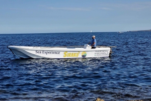 Syracuse:Snorkeling+Pillirina, Ortigia & sea caves boat tour