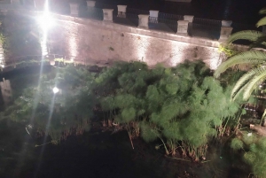 Siracusa Tour: Ortigia by Night in English