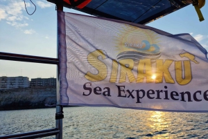 Siracusa: Prova de vinhos em barco com visita guiada e comida gourmet