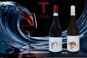 Siracusa : Dégustation de vins en bateau avec visite et repas gastronomique