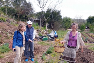 Slowfood Family Farm: From Garden to Table