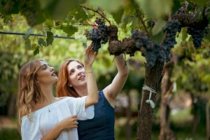 Sicilië: 8-daagse rondreis met een kleine groep langs de hoogtepunten van Sicilië