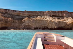 Tour met snorkelen bij de zeegrotten en het eiland Ortigia