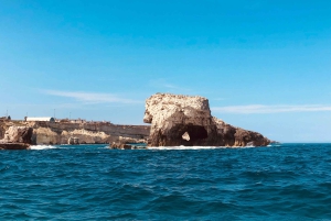 Tour met snorkelen bij de zeegrotten en het eiland Ortigia