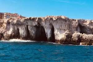 Tour met snorkelen bij de zeegrotten en het eiland Ortigia