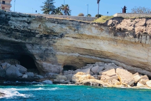 Tour met snorkelen bij de zeegrotten en het eiland Ortigia