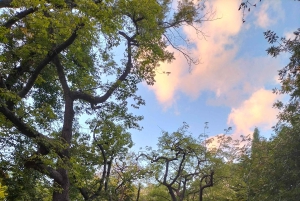 Wandelen door de Botanische Tuin van Palermo