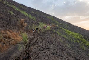 Stromboli: Trekking al tramonto alla Sciara del Fuoco