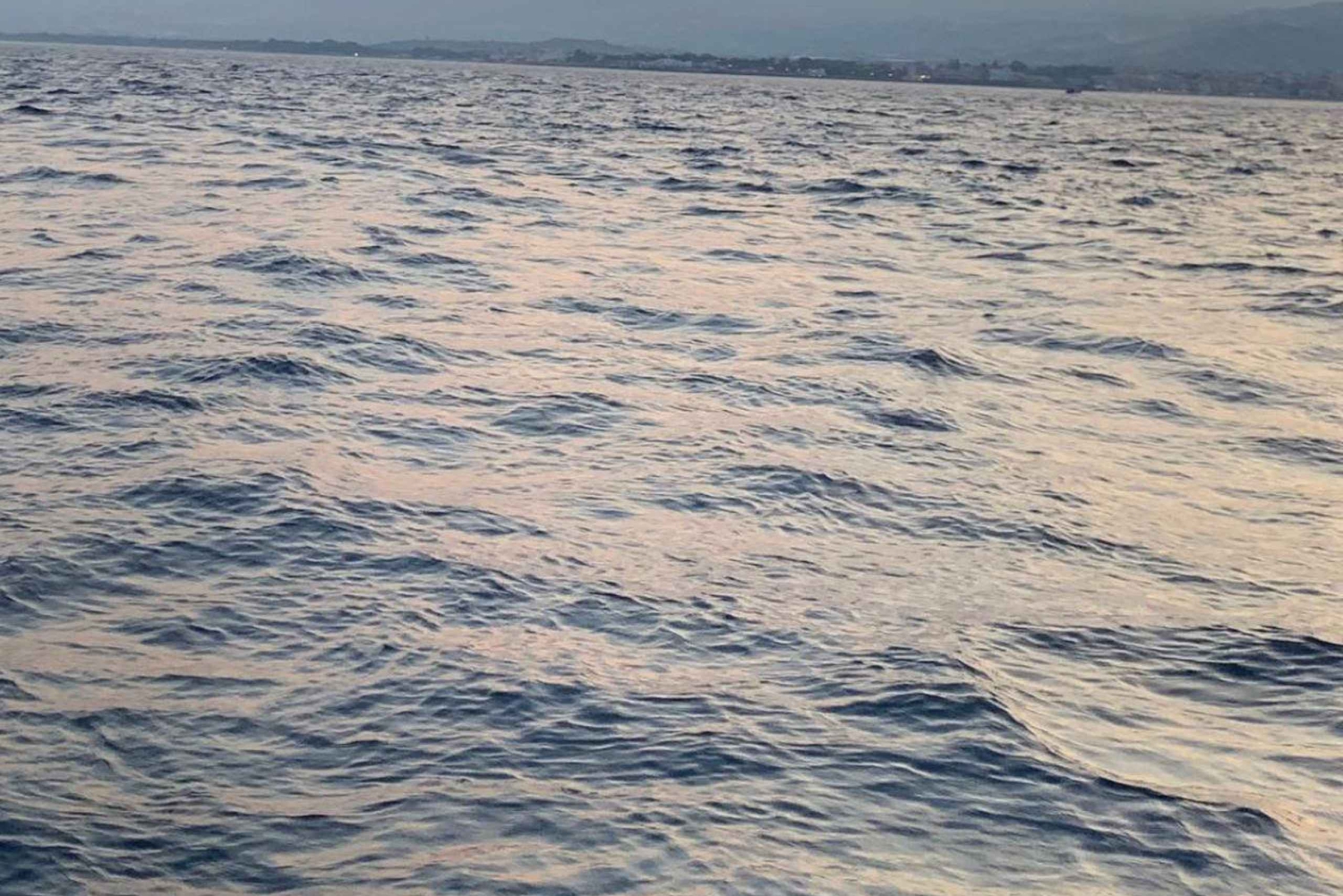 Excursion au coucher du soleil à la recherche de dauphins avec apéritif