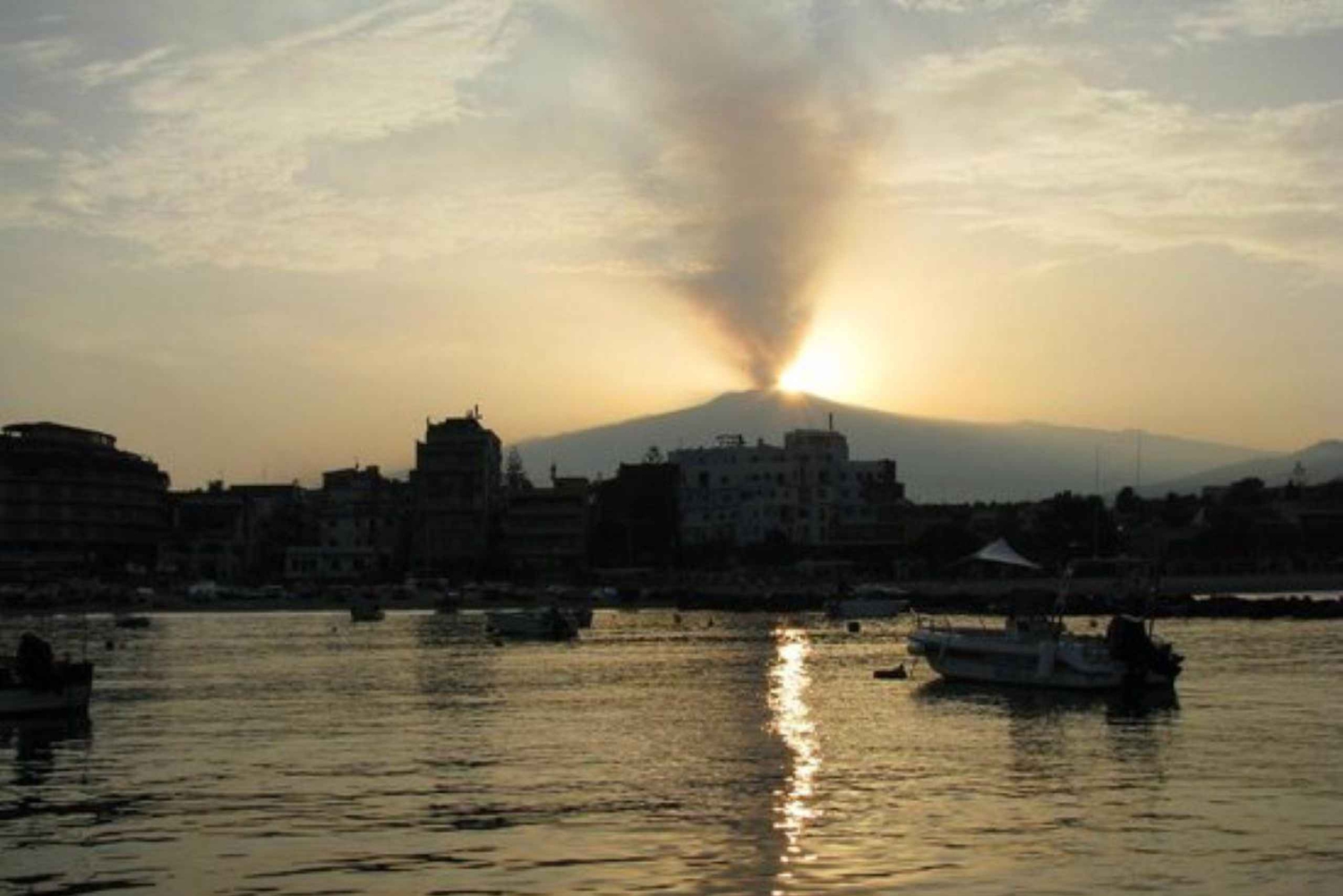 Excursion au coucher du soleil à la recherche de dauphins avec apéritif