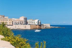 カターニア発シラキュースとノートのプライベートツアー