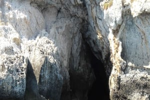 Siracusa: tour in barca grotte marine e Ortigia, Papyrus Excursion