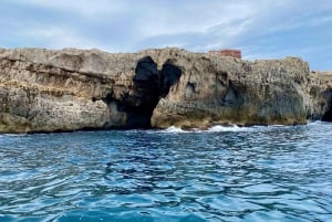 シラクサ：オルティジア島と洞窟のボートツアー（水泳の解説付き）