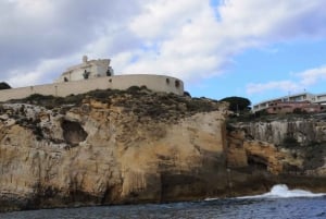 Syracuse: Boat tour Ortigia island,seacaves and explaination