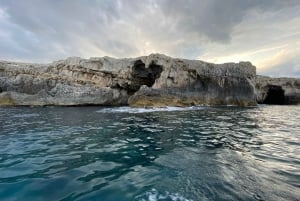 Syracuse: Boat tour Ortigia island,seacaves and explaination