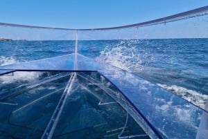 Siracusa: Tour in barca completamente trasparente della costa e delle grotte marine
