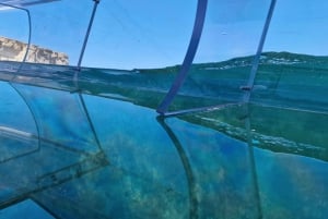 Siracusa: Tour in barca completamente trasparente della costa e delle grotte marine