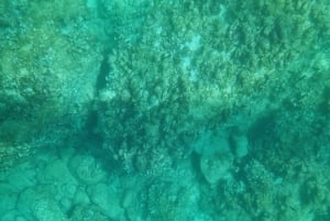Siracusa: Tour in barca completamente trasparente della costa e delle grotte marine
