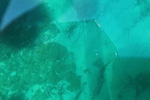 Siracusa: Tour in barca completamente trasparente della costa e delle grotte marine