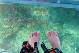 Siracusa: Tour in barca completamente trasparente della costa e delle grotte marine