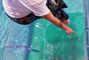 Siracusa: Tour in barca completamente trasparente della costa e delle grotte marine