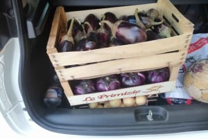 Syrakusa: praktisk lektion i Arancine med kock från Palermo