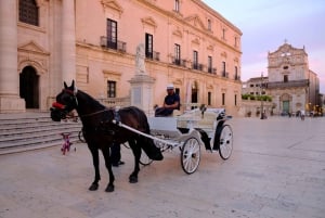 Siracusa: Lo mejor de Ortigia Visita guiada a pie