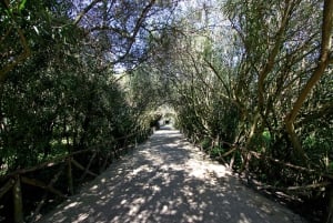Siracusa: Visita ao Parque Arqueológico de Neapolis em pequenos grupos