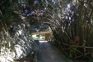 Siracusa: Visita ao Parque Arqueológico de Neapolis em pequenos grupos