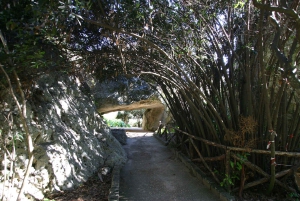 Siracusa: tour per piccoli gruppi del Parco Archeologico della Neapolis