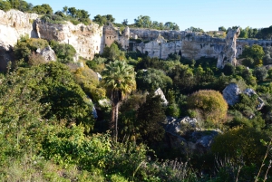 Syracuse: Ortigia and Neapolis Guided Walking Tour