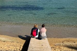 Siracusa, Ortigia y Noto: tour exclusivo con recogida en Catania