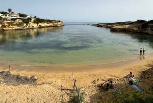 Siracusa, Ortigia og Noto: eksklusiv tur med henting i Catania