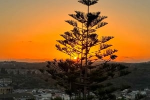 Siracusa, Ortigia og Noto: eksklusiv tur med henting i Catania