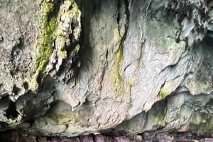 Syrakuzy: Wycieczka łodzią do Ortigii i jaskiń morskich