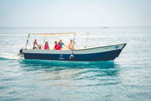 Siracusa: Excursão de barco a Ortigia e às grutas marinhas