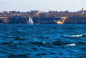 Syrakusa: Ortigia Island båttur med lunch och vin