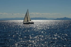 Syrakusa: Halvdags båttur till ön Ortigia med aperitif