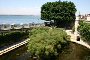 Siracusa: Tour privato a piedi di Ortigia