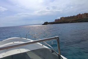 Syracuse: Ortigia,Sea Caves and Pillirina Boat Tour