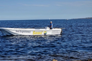 Syrakusa: Ortygia, havsgrottor vinterbåttur + te och filt