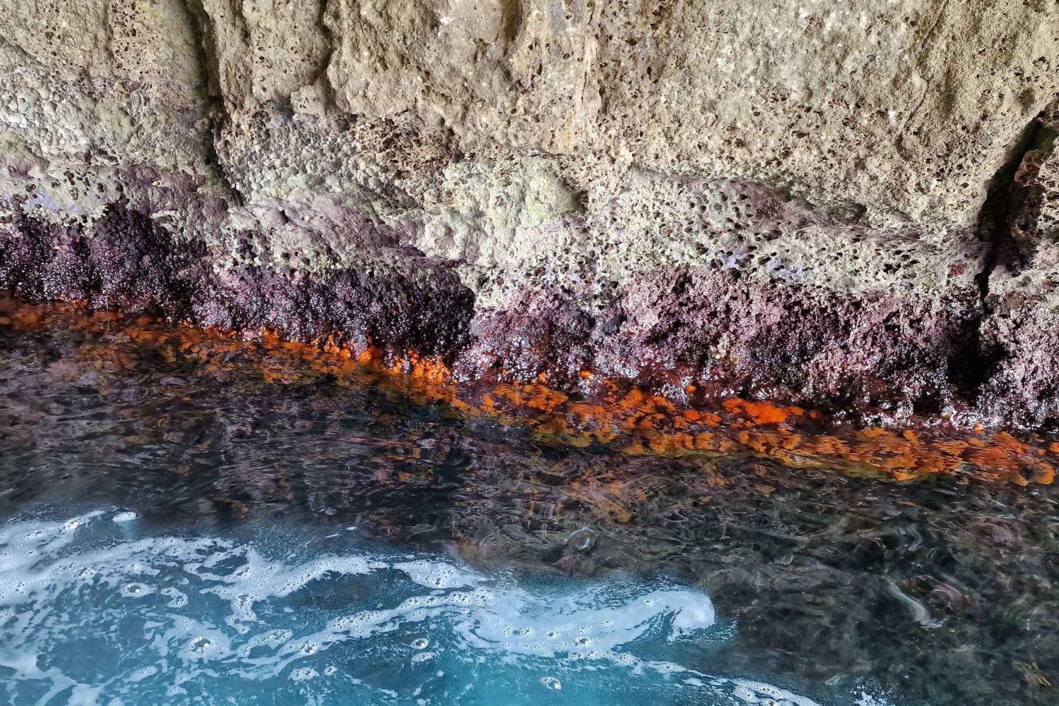 シラキュース：ピリリーナ、オルティージャ、海の洞窟を巡るピクニックボートツアー