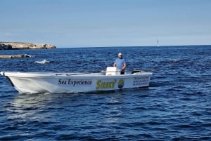 Syracuse : tour en bateau pique-nique de Pillirina, Ortigia & grottes marines.
