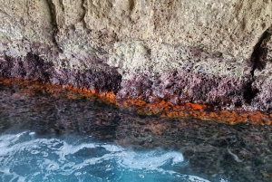 Syracuse : tour en bateau pique-nique de Pillirina, Ortigia & grottes marines.