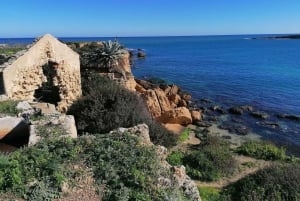 Siracusa: Pillirina, Ortigia, Grotte marine e snorkeling