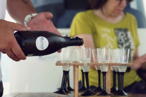 Syrakus: Private Bootstour nach Ortigia und Meereshöhlen mit Aperitif